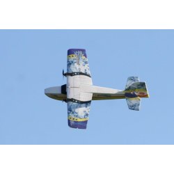 Puddle Star, EPP vandfly.