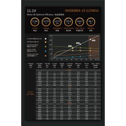 Dualsky XM2838EA-10 V3, 1250KV