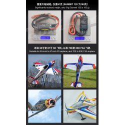 Dualsky-Summit 100A Light brstels regulator.