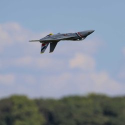 F-14 Twin 40mm EDF BNF Basic.