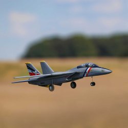 F-14 Twin 40mm EDF BNF Basic.