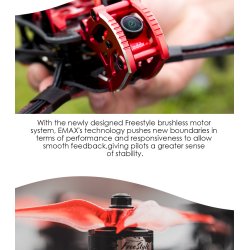 Buzz 2400KV ( 4S version ) Freestyle Racing Drone  (PNP).