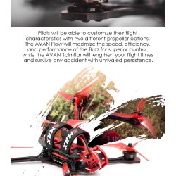 Buzz 2400KV ( 4S version ) Freestyle Racing Drone  (PNP).