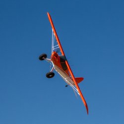 E-Flite Carbon-Z Cub SS 2-meter BNF Basic med AS3X og SAFE Select.