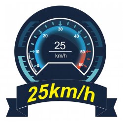 Wave Warrior V4 2.4GHz RTR