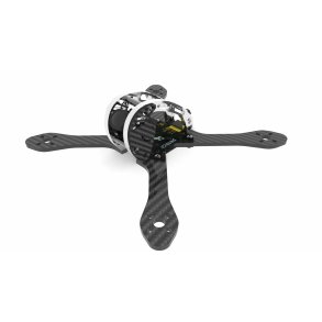 Dquad Obsession Stretched 5,5