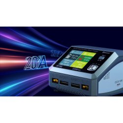 SkyRC D200 Neo Duo Computeroplader AC200W